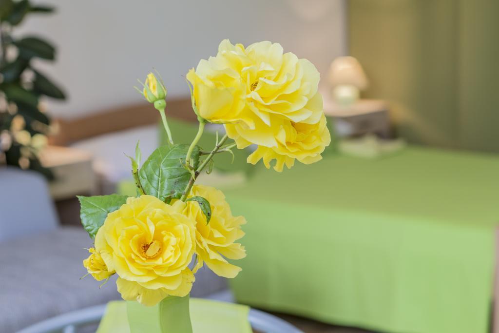 Pula Istria Apartments 외부 사진