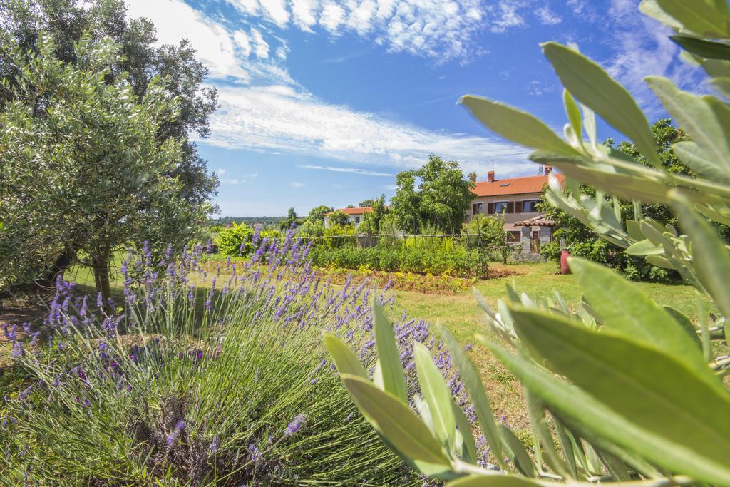 Pula Istria Apartments 외부 사진